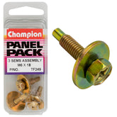 Champion - HEX SET SCREWS-SEMS-HEX IND-COMBO DVE-FLAT WASHER-PILOT-M6x18mm | TF249